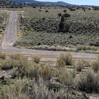 TBD TROUT CREEK ROAD APN 007-22-59, BATTLE MOUNTAIN, NV 89820 - Image 1