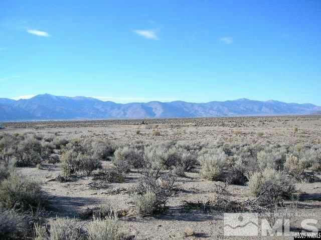 325 LUDWIG LN, SMITH, NV 89430, photo 1 of 2