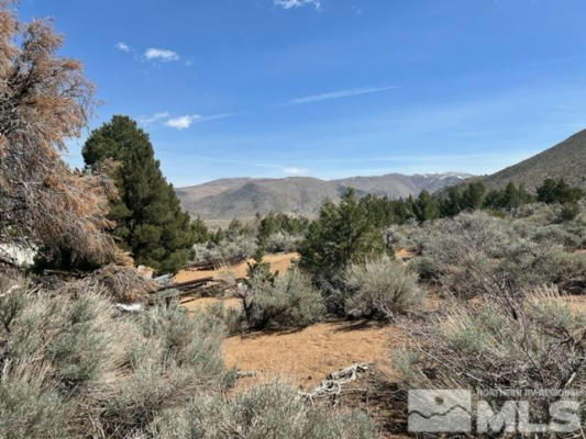 LOT G5 DRY CANYON ROAD, COLEVILLE, CA 96107 - Image 1