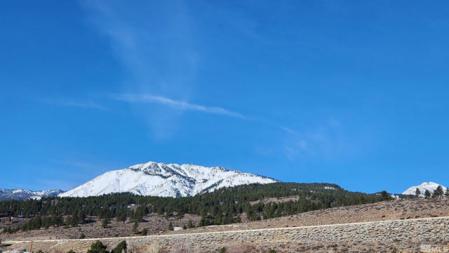 04608053 S US HIGHWAY 395, WASHOE VALLEY, NV 89704, photo 3 of 16