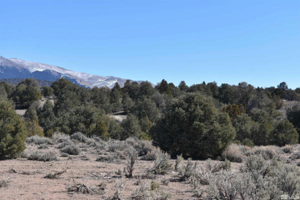 TBD SOUTH OF PINE NUT RD (31), GARDNERVILLE, NV 89410, photo 4 of 5