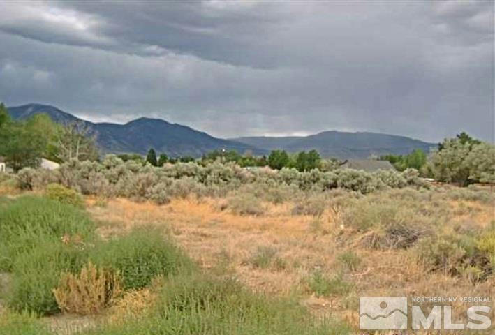 1368 JOHNSON LN, MINDEN, NV 89423, photo 1 of 10