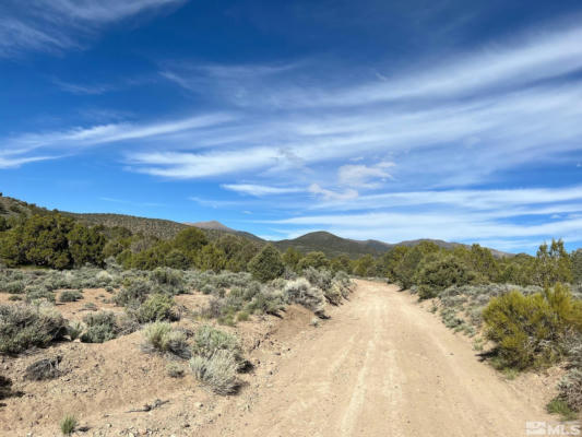 TBD P 16 PINE NUT MOUNTAINS (68), GARDNERVILLE, NV 89410 - Image 1