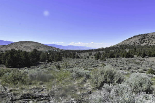 TBD CHINA SPRINGS (EAST LOT), GARDNERVILLE, NV 89410, photo 4 of 6