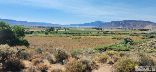 257 ARTIST VIEW RD, WELLINGTON, NV 89444 - Image 1