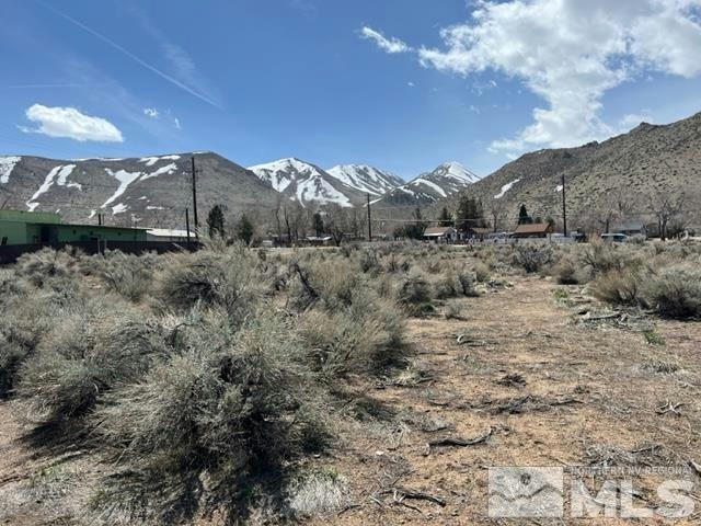 LOT X3 HIGHWAY 395, COLEVILLE, CA 96107, photo 1 of 30