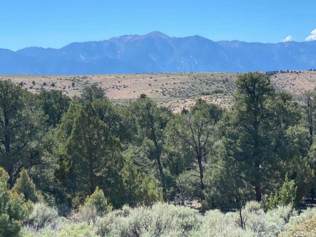 TBD CHINA SPRINGS (EAST LOT), GARDNERVILLE, NV 89410, photo 1 of 6