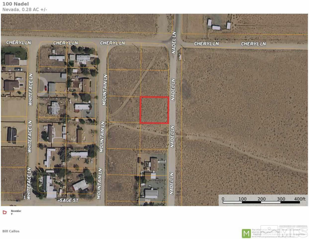 100 NADEL LN, YERINGTON, NV 89447, photo 1 of 2