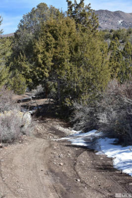 TBD PINE NUT MOUNTAINS (52), GARDNERVILLE, NV 89410 - Image 1