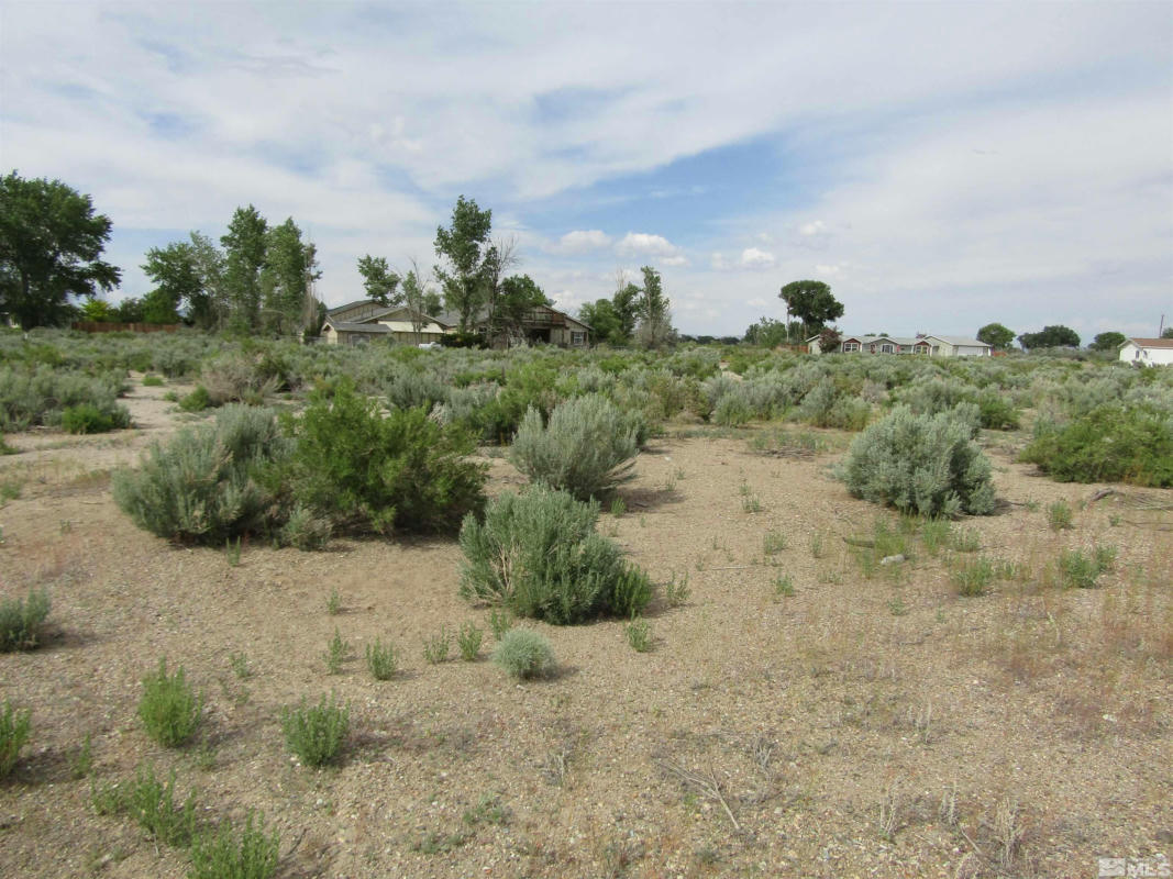 8 PINE VALLEY CT, YERINGTON, NV 89447, photo 1