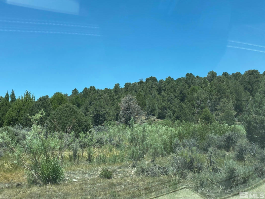 TBD P14 (77), MINDEN, NV 89423, photo 1 of 4